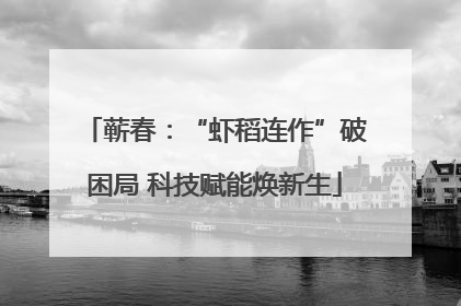 蕲春：“虾稻连作”破困局 科技赋能焕新生